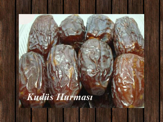 Kudüs Hurması